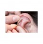 Ear Seed