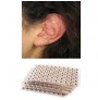 Ear Seed