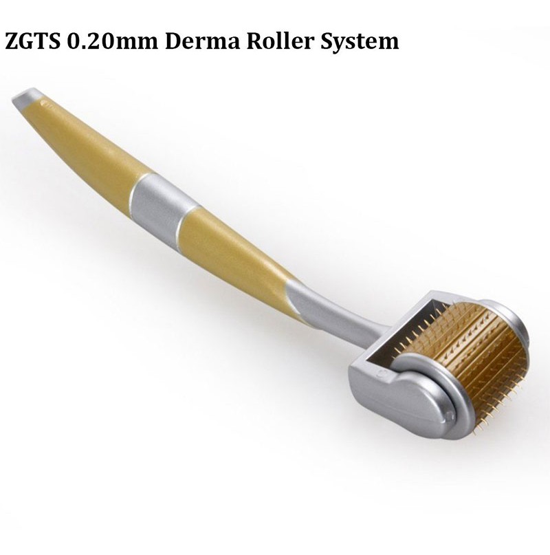ZGTS Derma Roller - 1.00